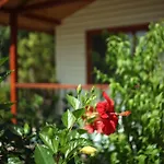 Surf Tatil Koyu