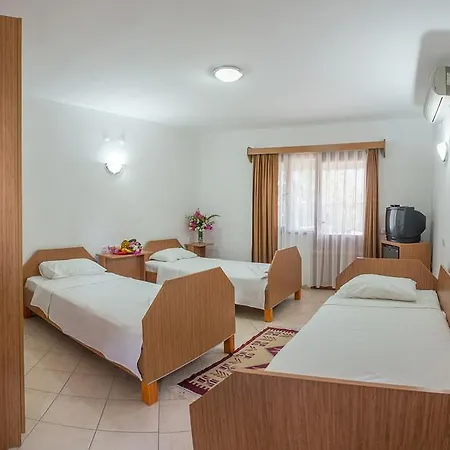 Surf Tatil Koyu 假日公园