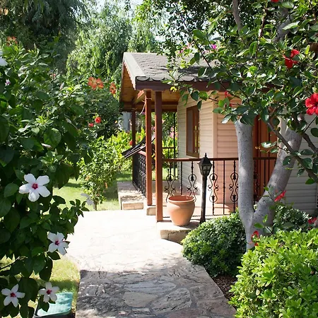 Surf Tatil Koyu Prázdninový areál