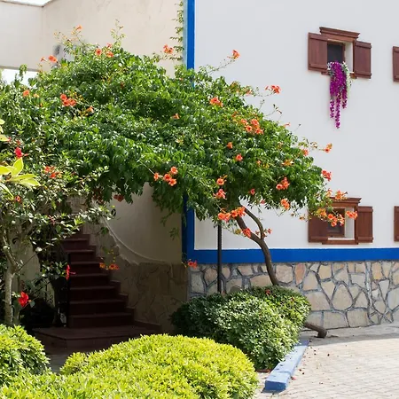Surf Tatil Koyu *