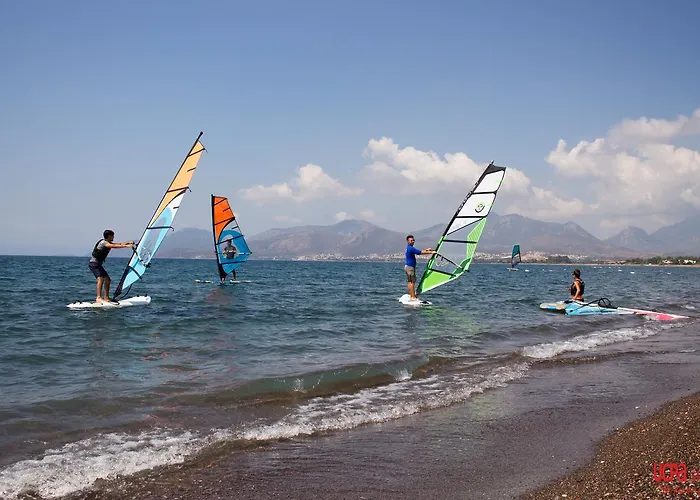 Surf Tatil Koyu