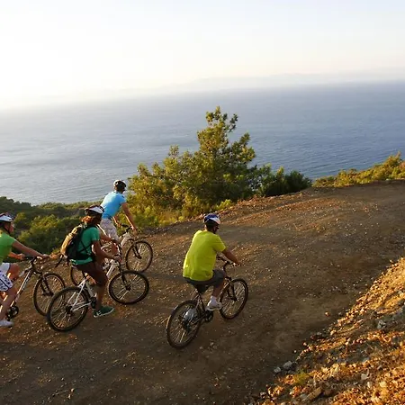 פארק נופש Surf Tatil Koyu