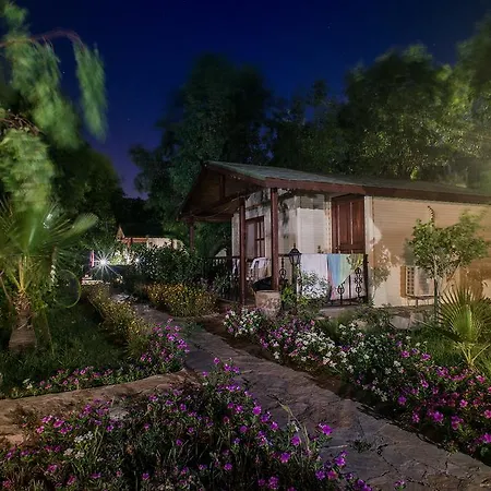 Surf Tatil Koyu * Datça