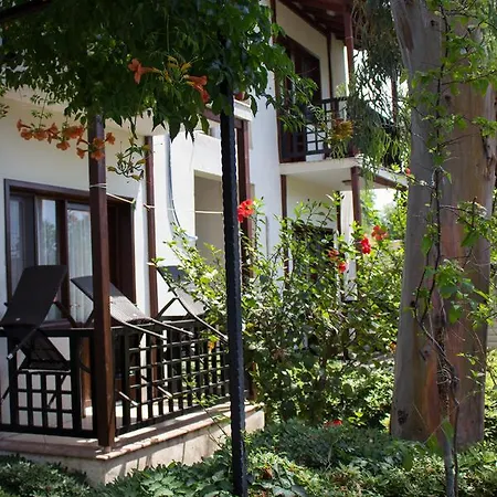 Surf Tatil Koyu דטקה