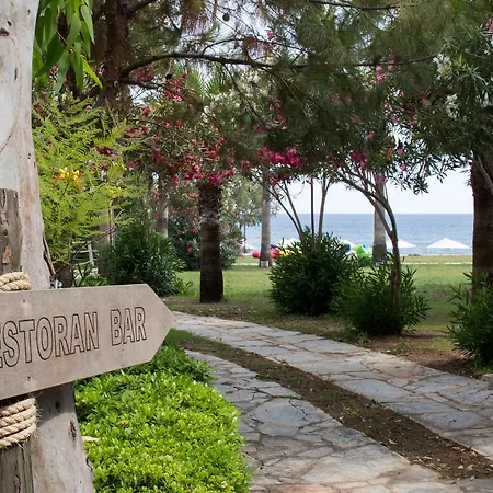 Surf Tatil Koyu * Датча