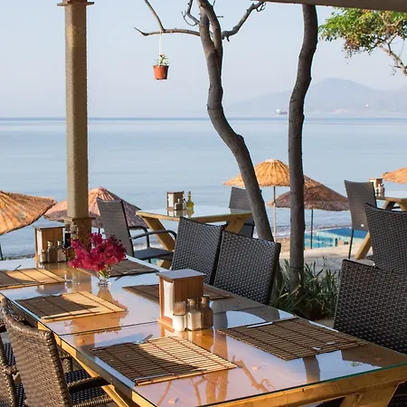 Surf Tatil Koyu Ferienpark