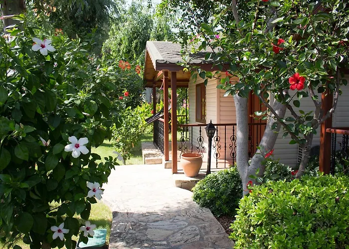 Surf Tatil Koyu Kompleks wypoczynkowy