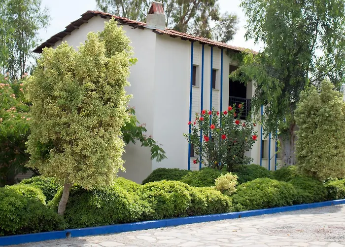 Surf Tatil Koyu Kompleks wypoczynkowy *