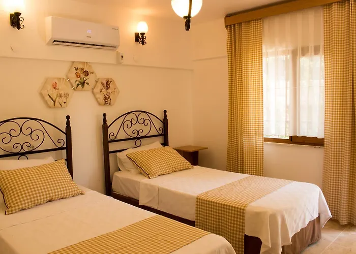 Surf Tatil Koyu Kompleks wypoczynkowy *